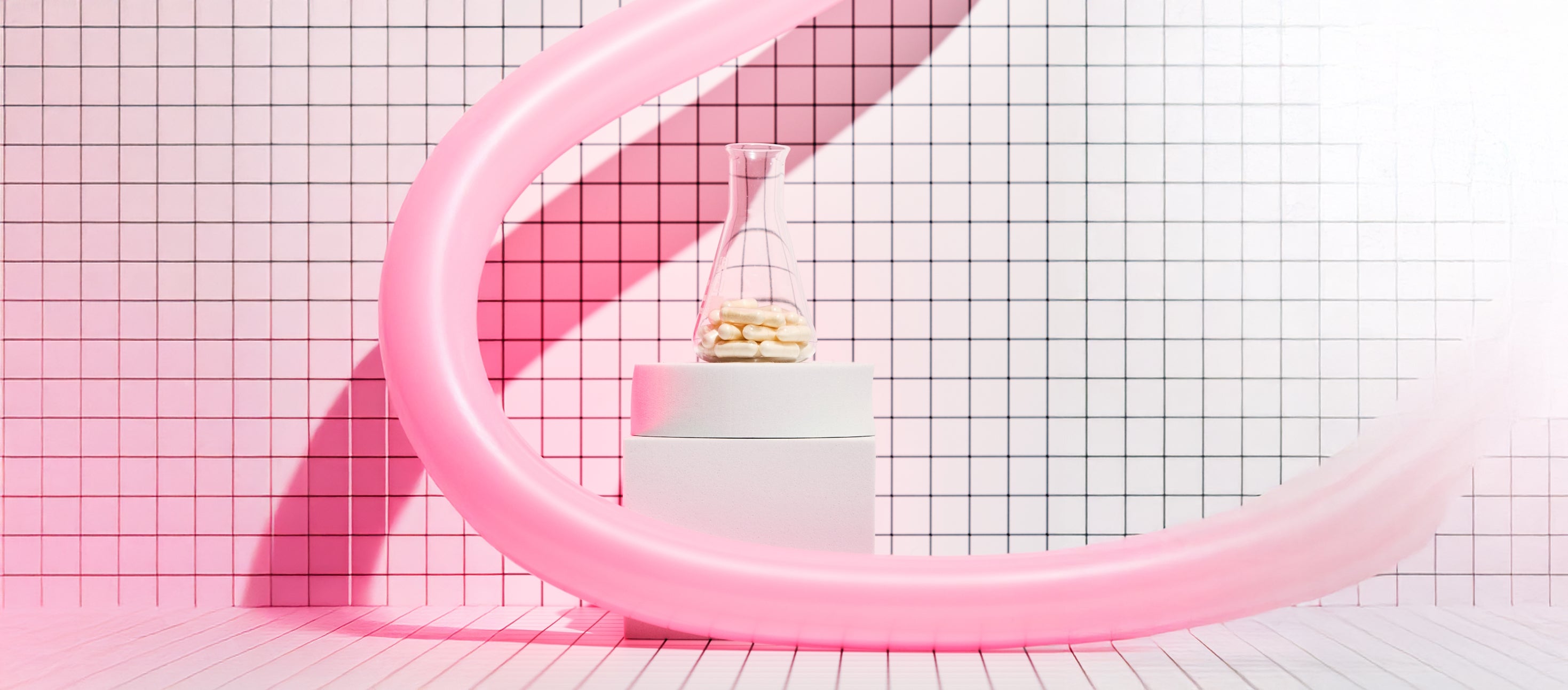 Advanced Nutrition Programme España