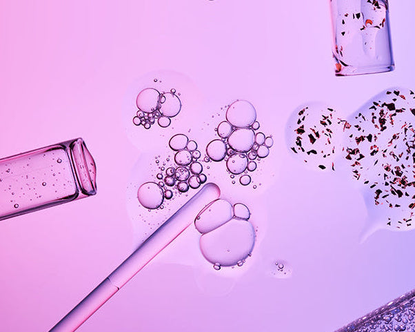 Advanced Nutrition Programme España