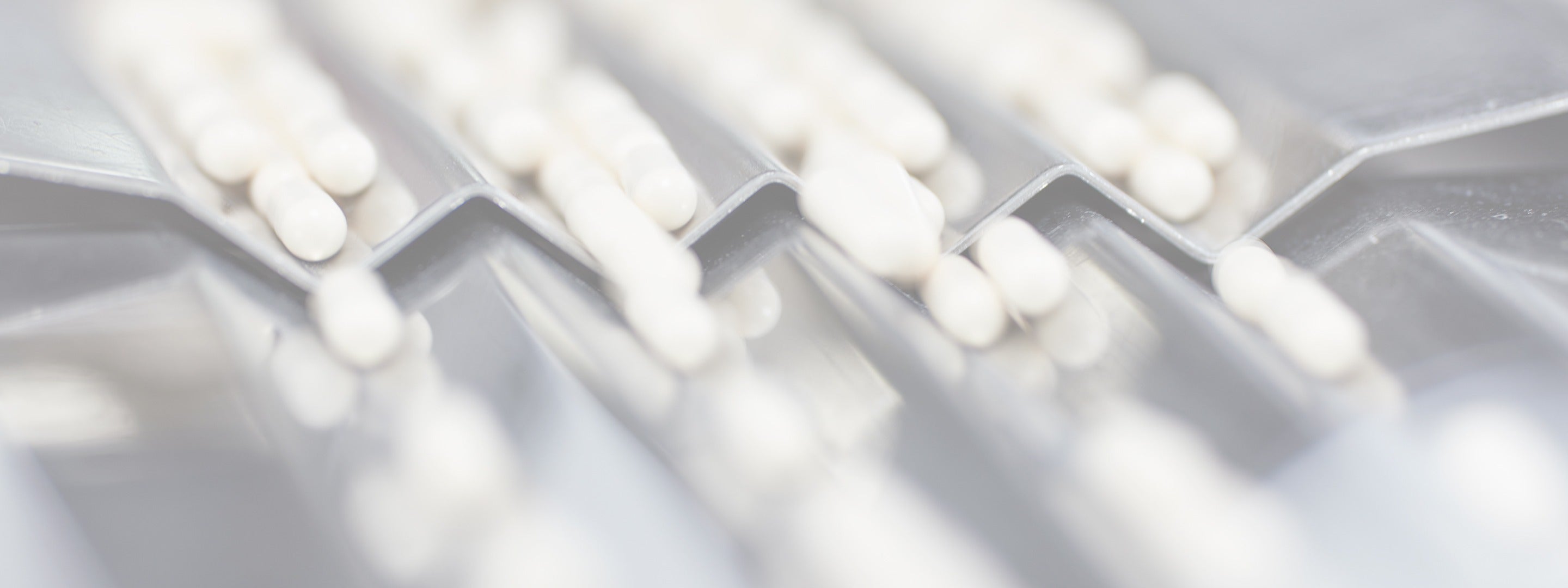 Advanced Nutrition Programme España