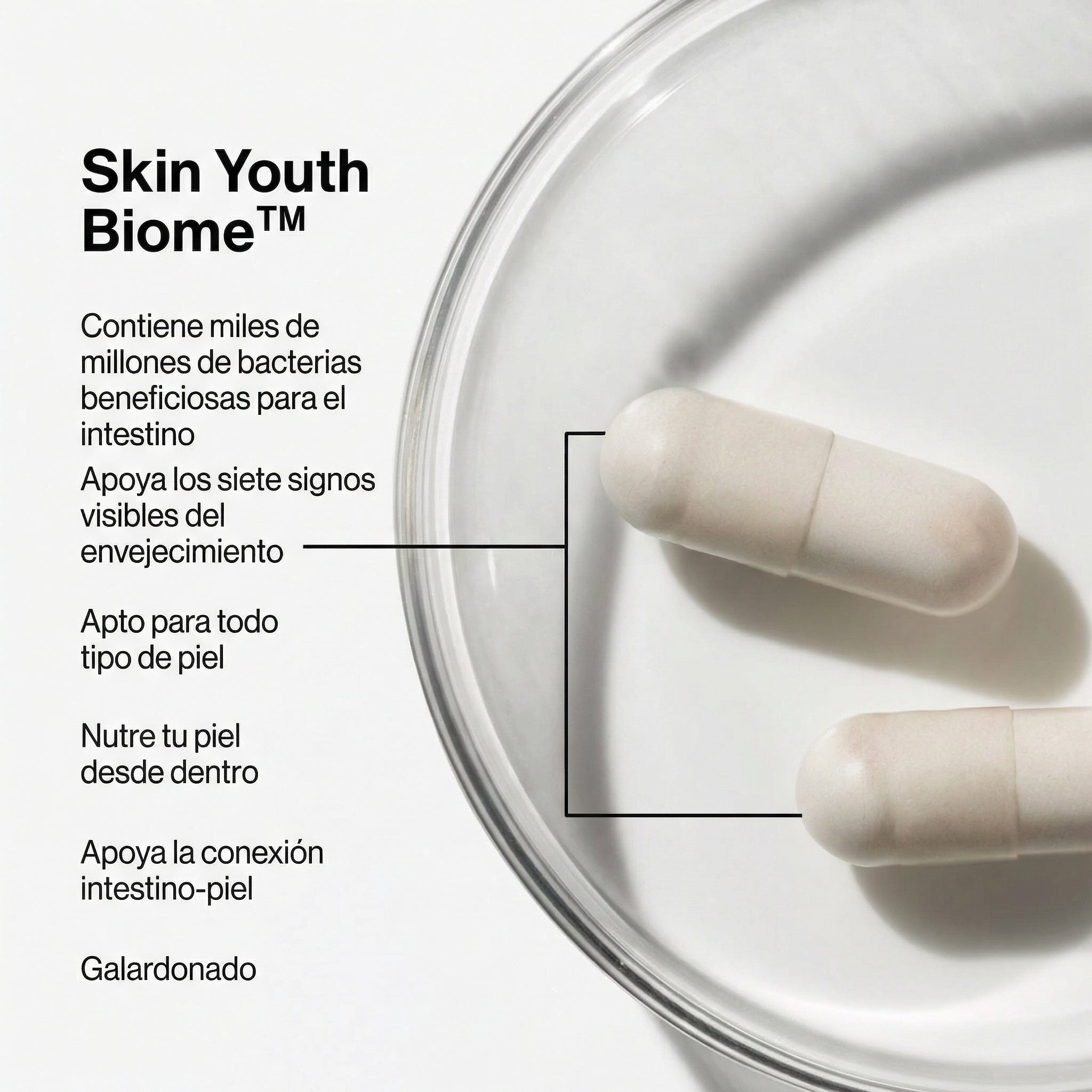 Infografía de los beneficios de Skin Youth Biome, donde se explica cómo su combinación de probióticos y vitamina C ayuda a reducir la profundidad de las arrugas, mejorar la elasticidad y favorecer una piel de aspecto más joven.