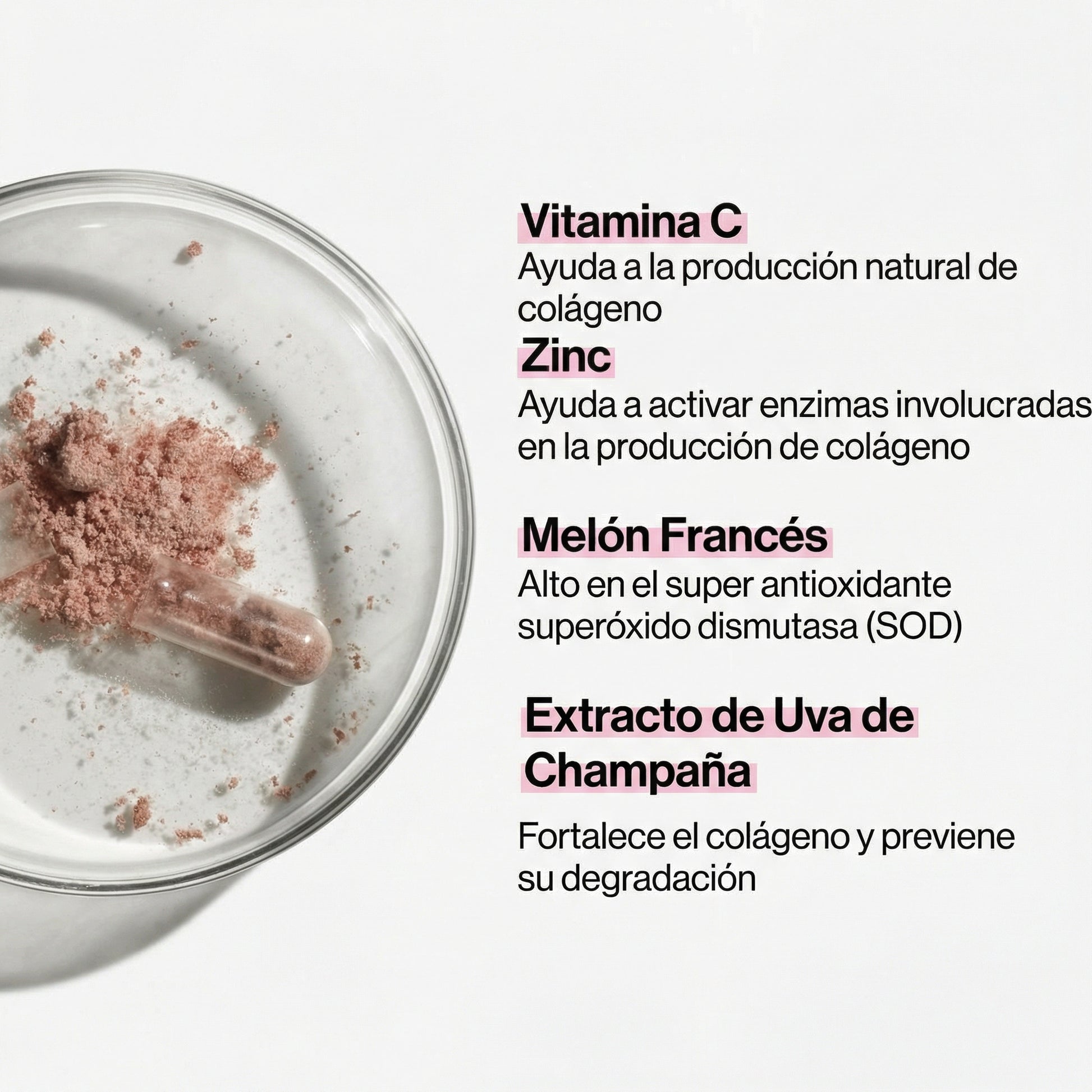 Detalle de los ingredientes de Skin Collagen Support, resaltando su fórmula sinérgica de vitamina C, zinc, MSM, extracto de semilla de uva y concentrado de melón para activar y proteger la producción natural de colágeno.