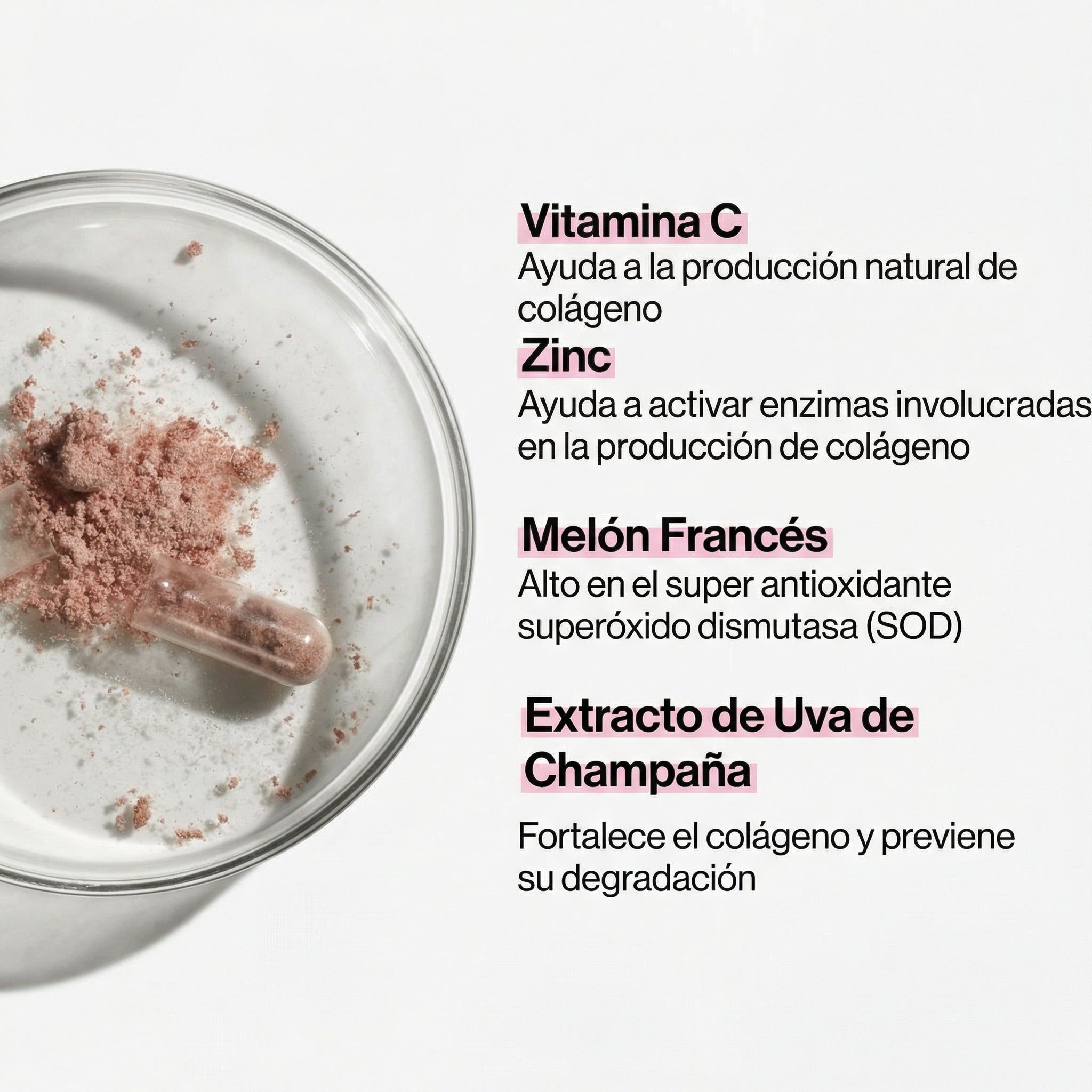 Detalle de los ingredientes de Skin Collagen Support, resaltando su fórmula sinérgica de vitamina C, zinc, MSM, extracto de semilla de uva y concentrado de melón para activar y proteger la producción natural de colágeno.