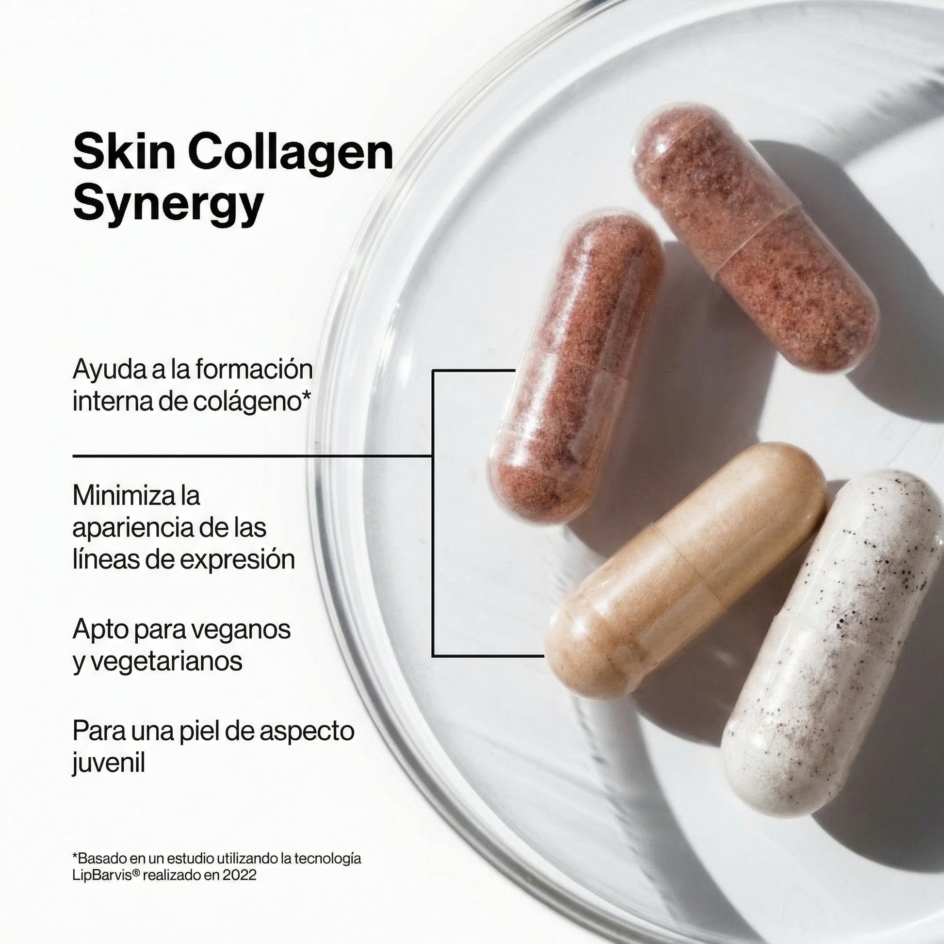 Gráfico detallado de los beneficios de Skin Collagen Synergy, destacando la sinergia de sus ingredientes para estimular la producción de colágeno, mejorar la elasticidad y reducir la apariencia de arrugas