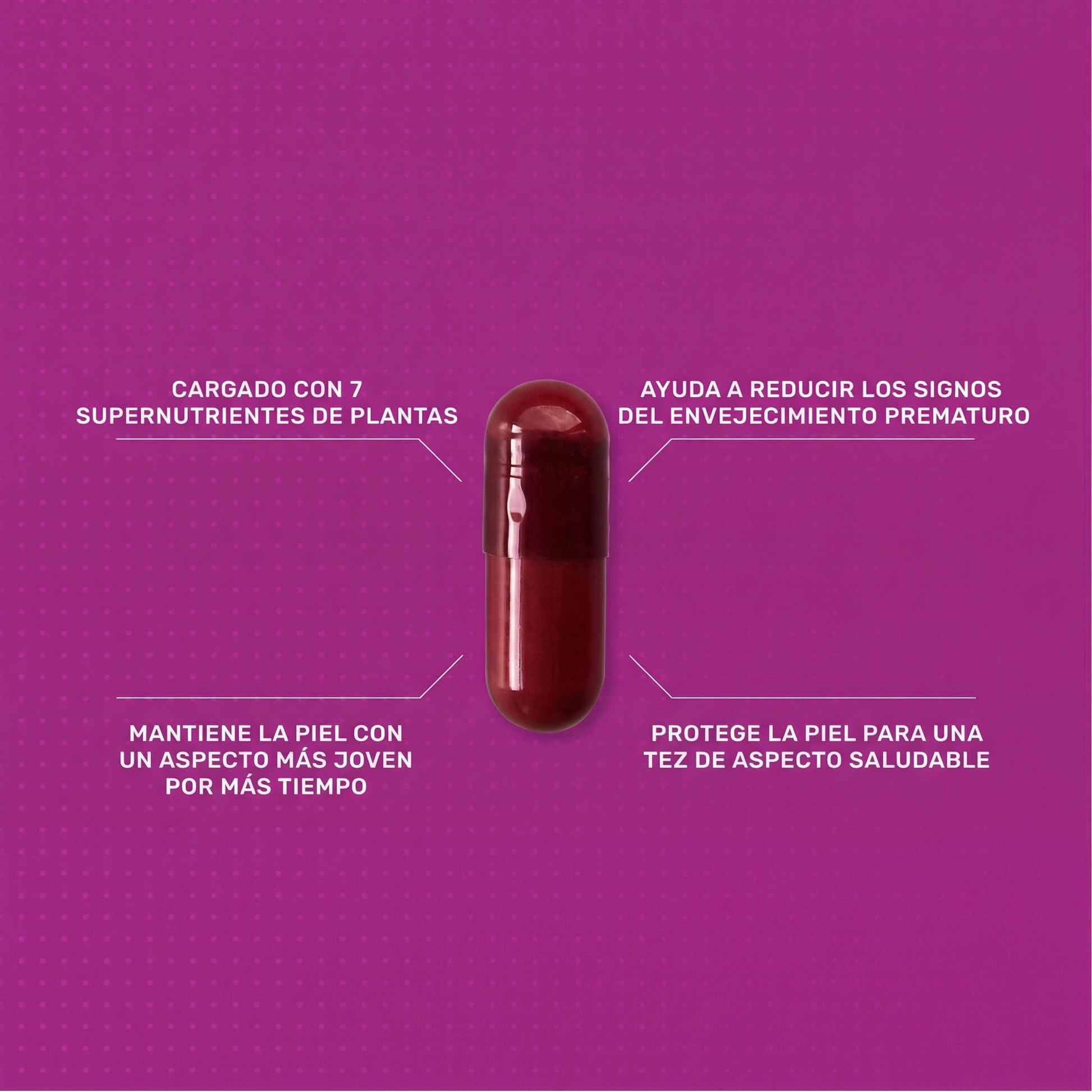 Infografía detallada que muestra la composición de la cápsula Skin Antioxidant, destacando ingredientes clave como extractos de plantas y nutrientes protectores