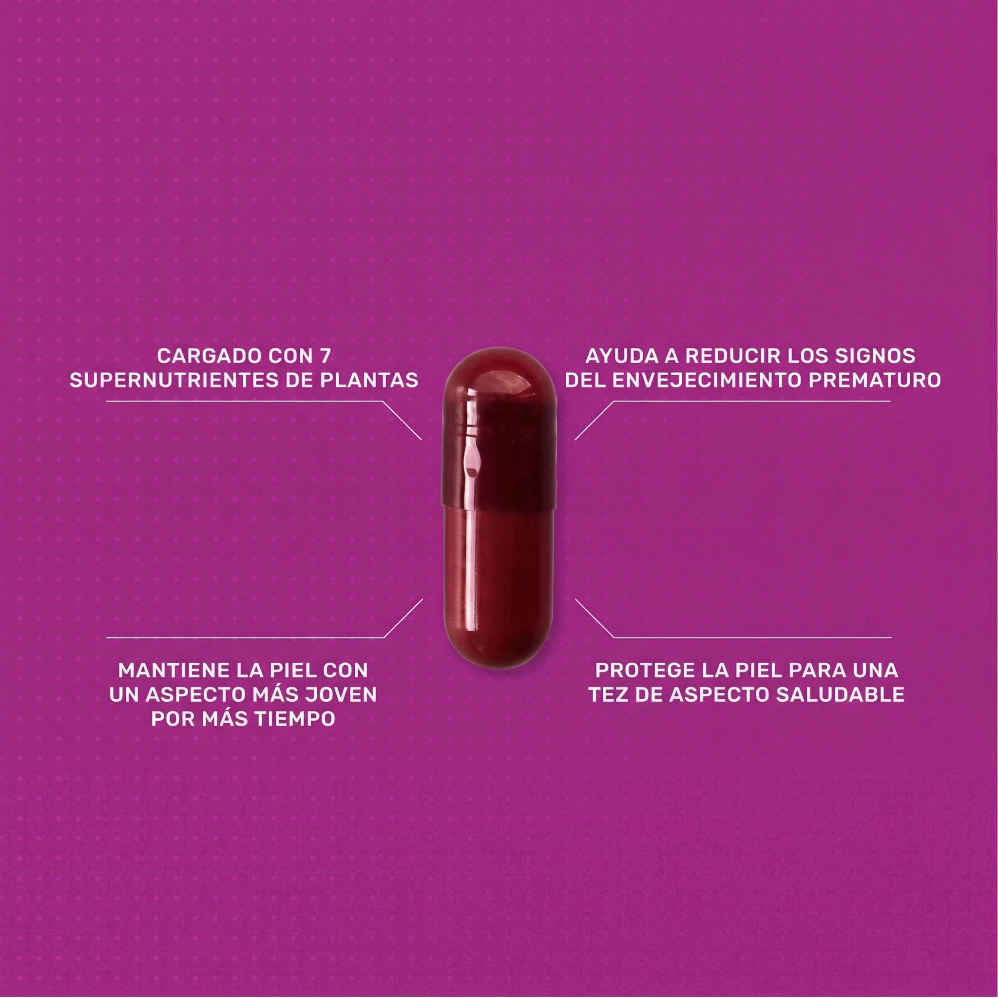 Infografía detallada que muestra la composición de la cápsula Skin Antioxidant, destacando ingredientes clave como extractos de plantas y nutrientes protectores