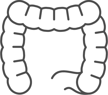 Icono del sistema digestivo humano