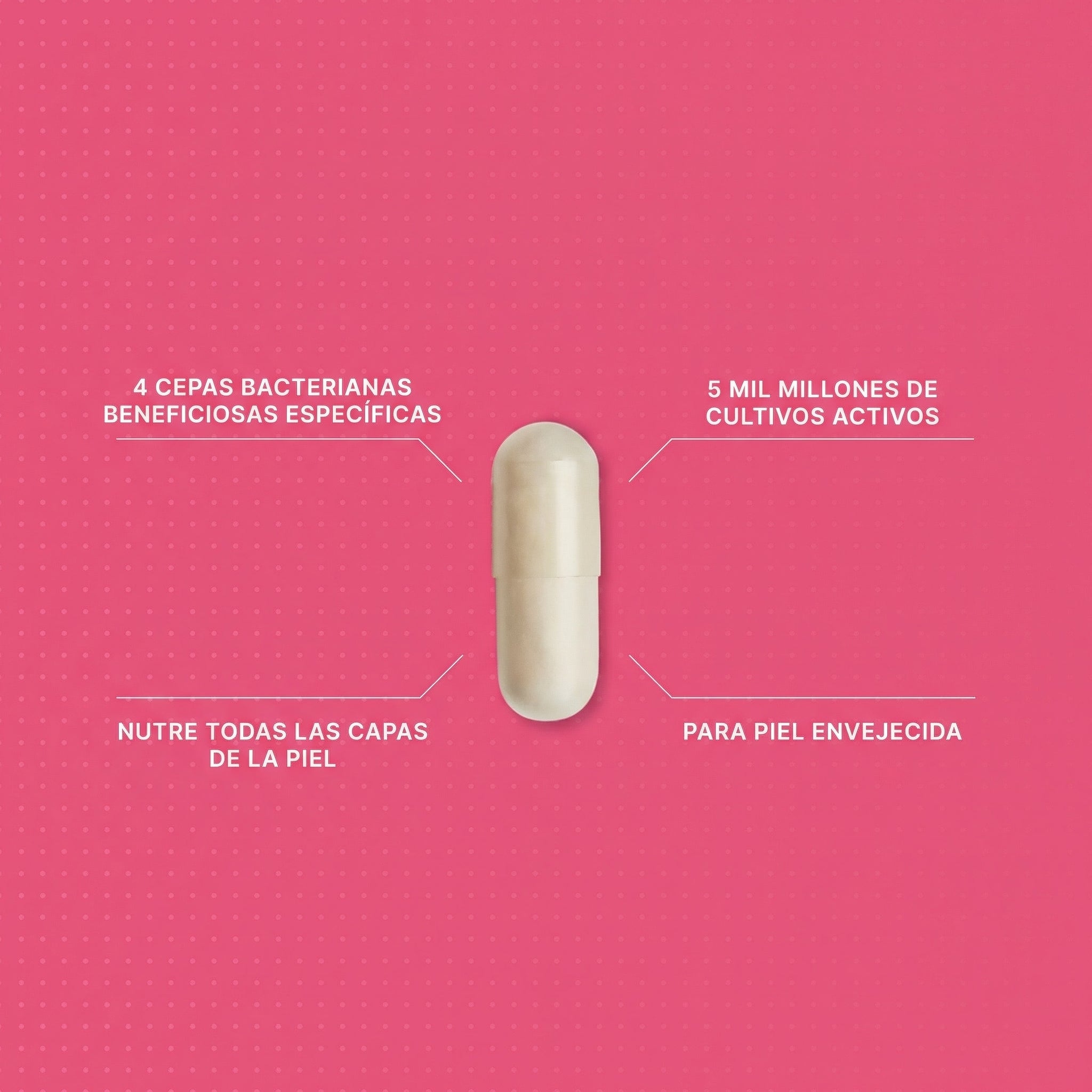 Detalle de los ingredientes de Skin Youth Biome, destacando su fórmula única que combina 4 cepas específicas de probióticos (bacterias beneficiosas) con Vitamina C para potenciar la producción de colágeno y la salud intestinal.