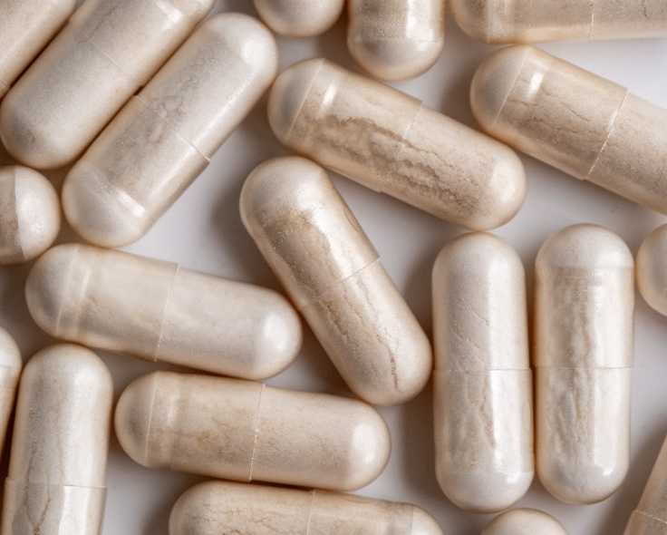 Advanced Nutrition Programme España