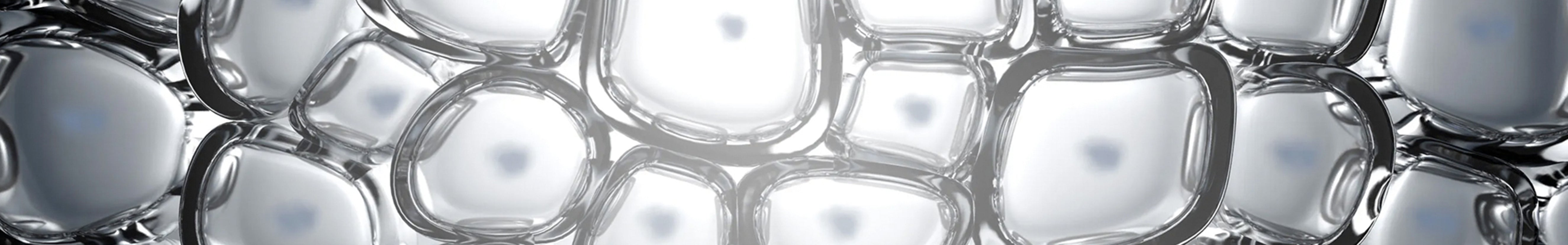 Advanced Nutrition Programme España