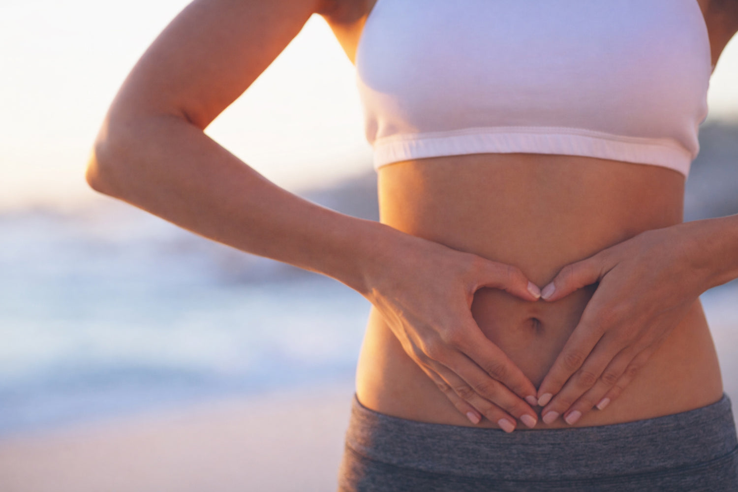 Advanced Nutrition Programme España