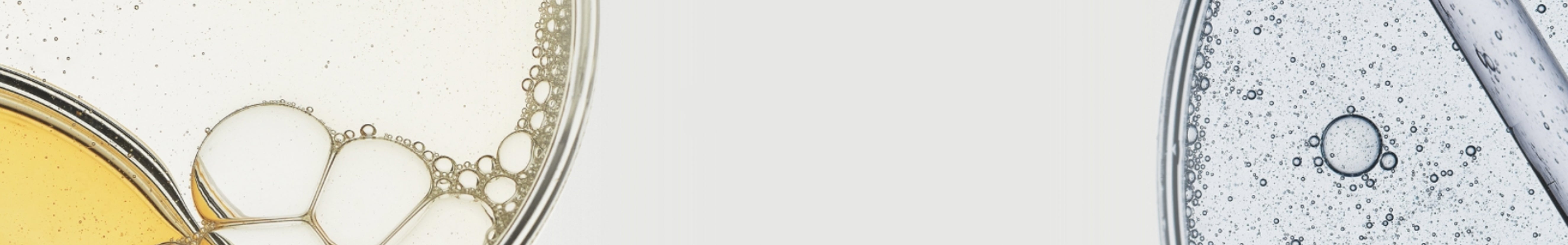 Advanced Nutrition Programme España