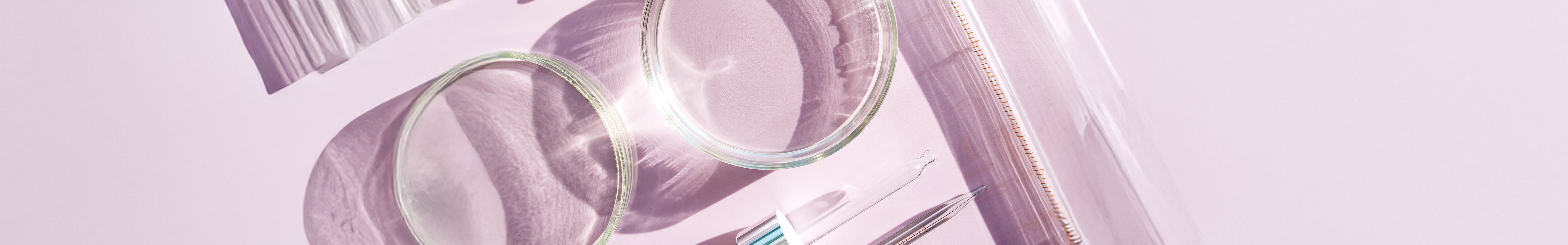 Advanced Nutrition Programme España